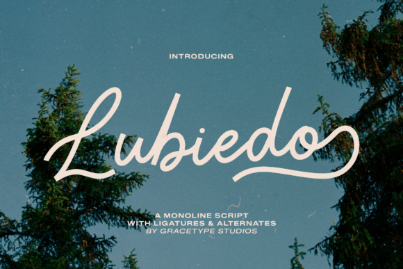 Lubiedo: A Monoline Script for Timeless Branding